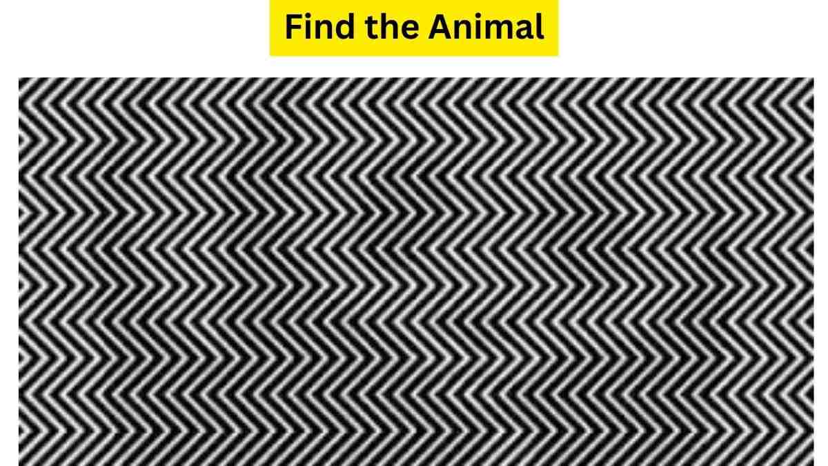  Only a Sleep-Lover can find the hidden animal in the Optical Illusion. Try your luck before it ticks 19 seconds!