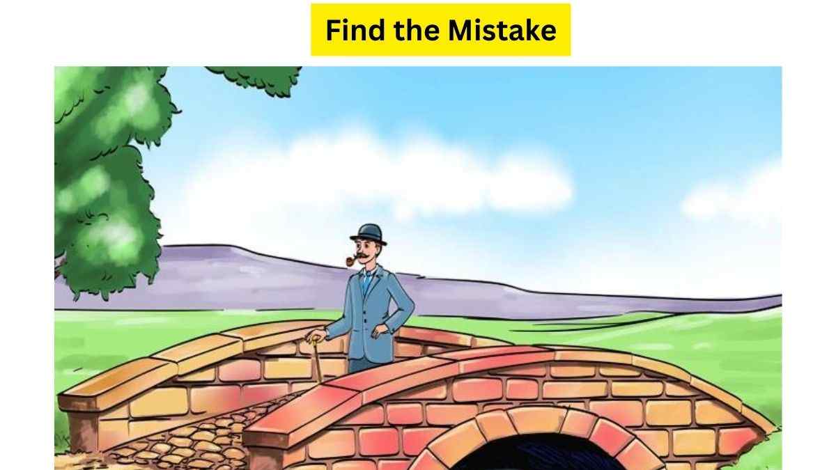 Can You Find the Mistake?  Visual Brain Test Picture Puzzle