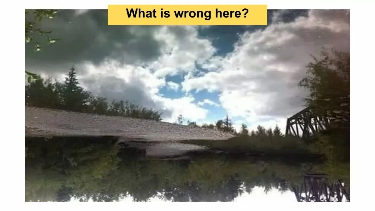 Puzzle for Testing Your IQ