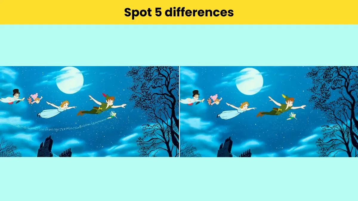 Can you spot 5 differences in the Peter Pan pictures?                               