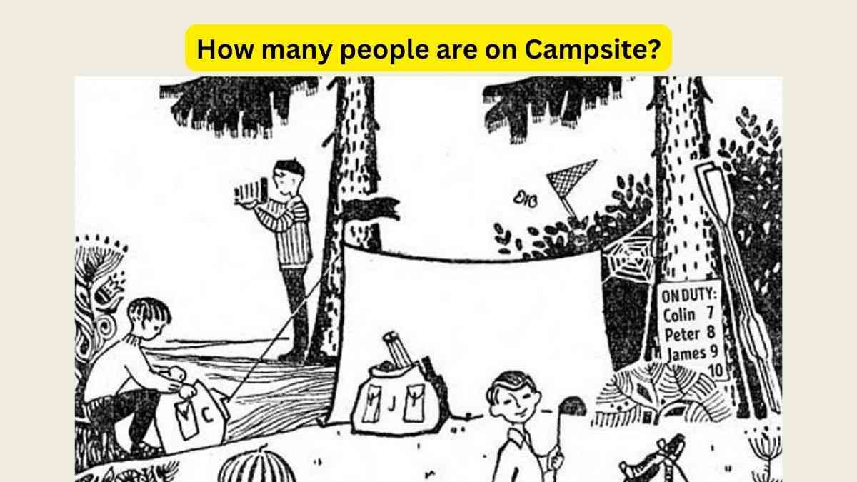  Brain Teaser For Adults: Only an Alpha Personality Genius Can Find the Right Numbers of Members on Campsite. Are You One Of Them?