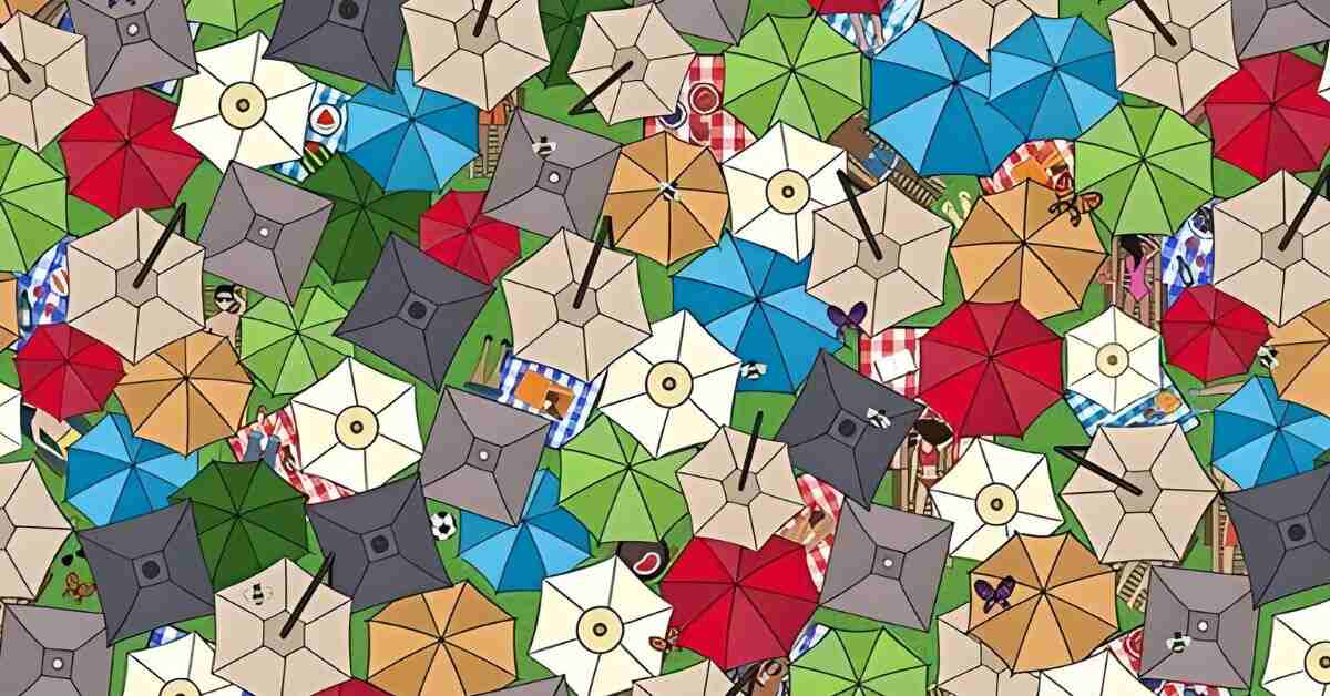 This Optical Illusion Will Have You Scratching Your Head! Can You Spot the Hidden Cat Among the Umbrellas?