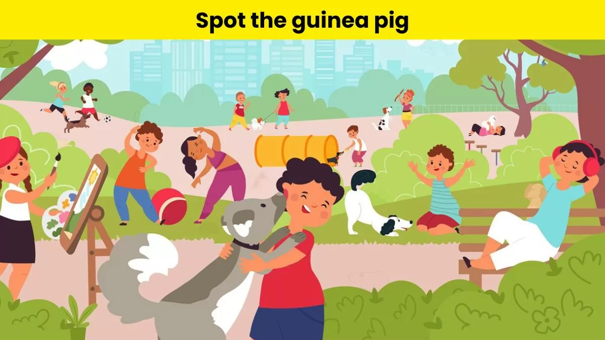Can you spot the hidden guinea pig?