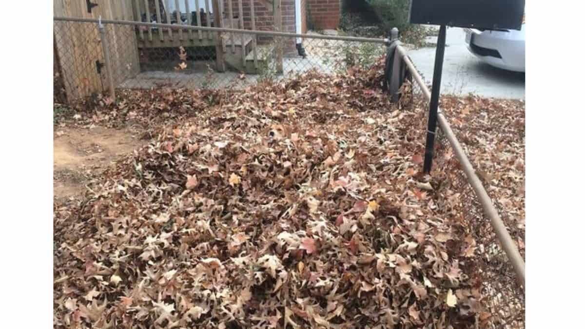 Do you see an intruder here?