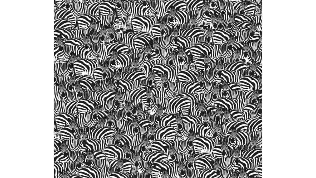 Do you see a keyboard here?