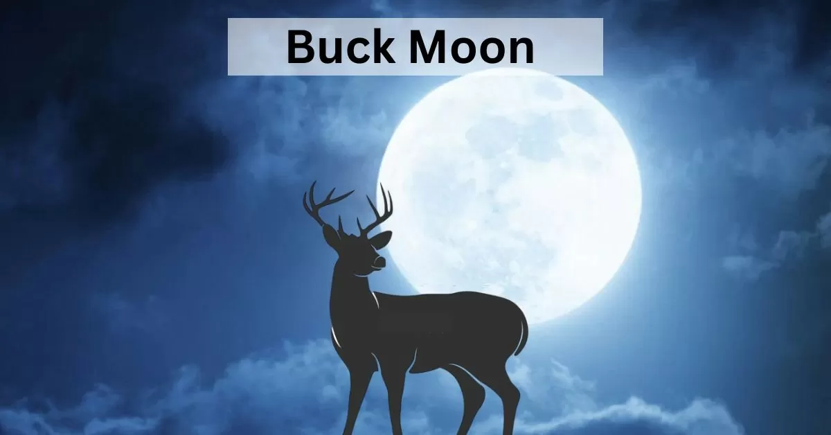 Buck Moon July 2024 Facts And Myths Wiki - Aila Lorena