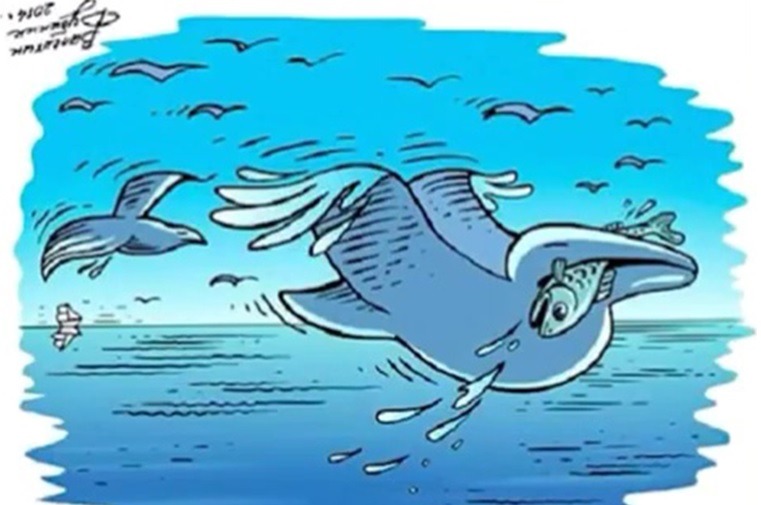 dolphin fish optical illusion iq test answers