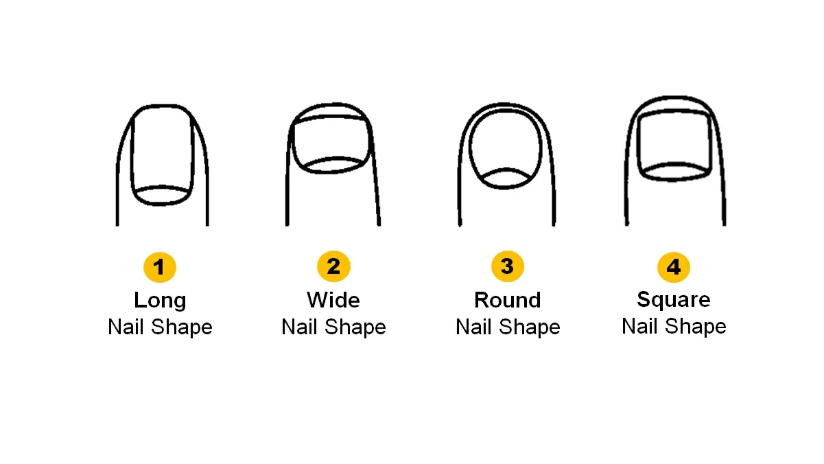 What Are The Basic Nail Shapes? - Tip Top Talons