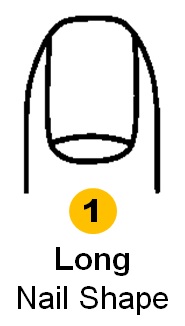 Vertically Long Shape Personality Traits