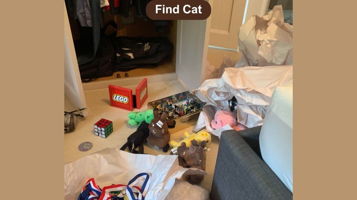 Optical Illusion Visual Skill Challenge: Find the cat in the room in 8 seconds!