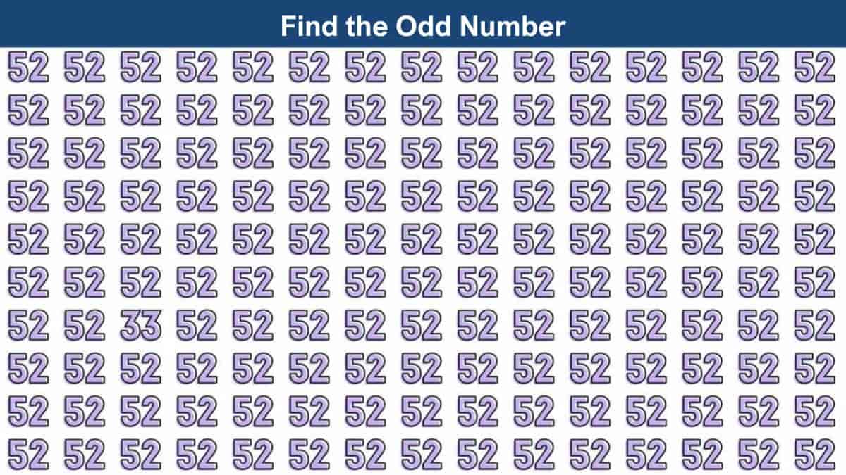 seek-and-find-puzzle-find-the-odd-number-in-9-seconds