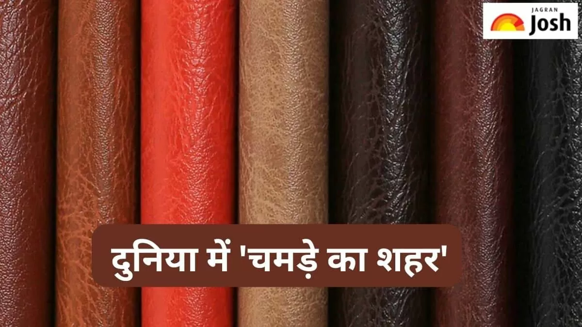 चमड़े का शहर 
