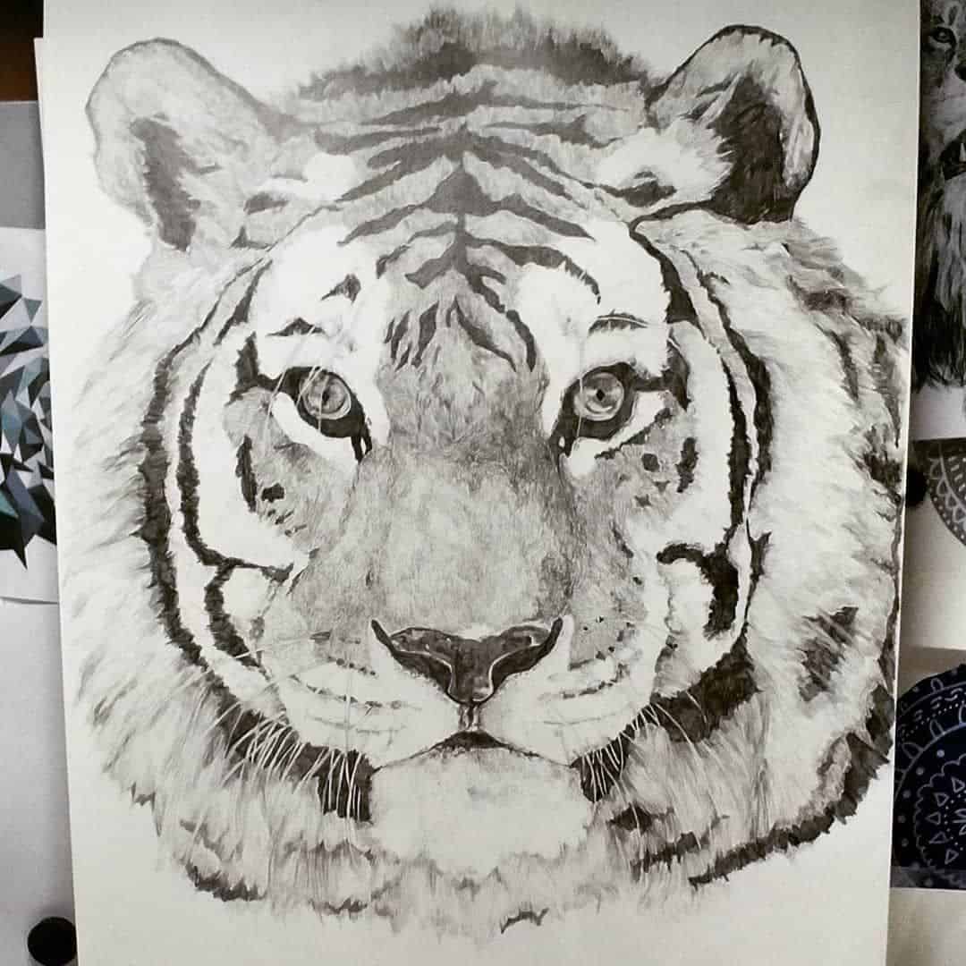 Interesting Project Ideas on International Tiger Day for School Students