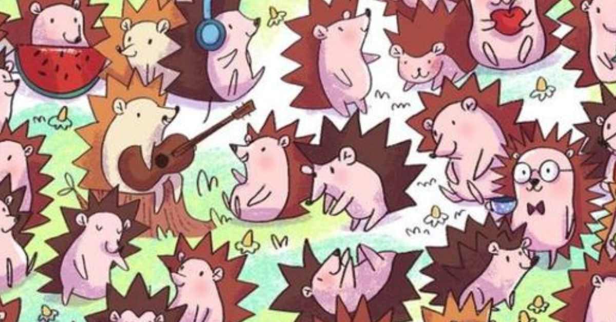 This optical illusion will make your head spin! Can you find the hidden cactus among the hedgehogs?