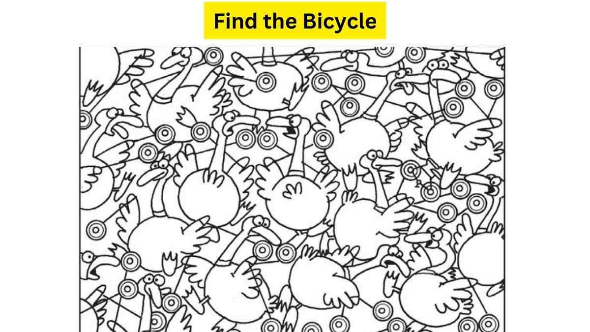Only A Smart IQ Genius Can Spot The Bicycle Hidden In The Brain Teaser. 33 Seconds Left!