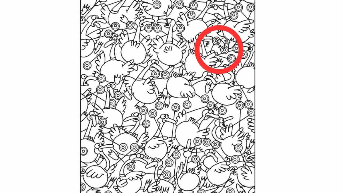 the hidden bicycle is here