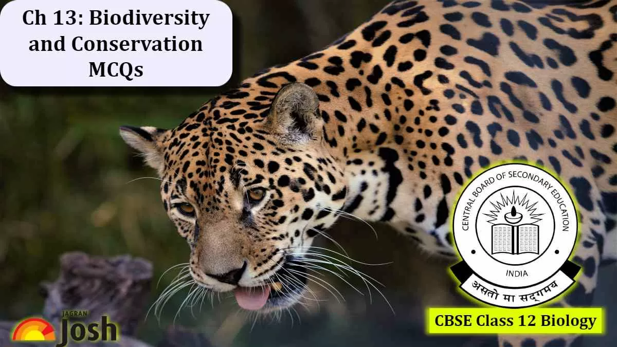 Important CBSE Class 12 Biology Biodiversity And Conservation MCQs 2024 ...