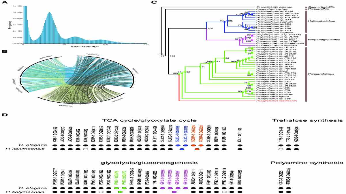 46,000 Years Frozen in Siberian Permafrost