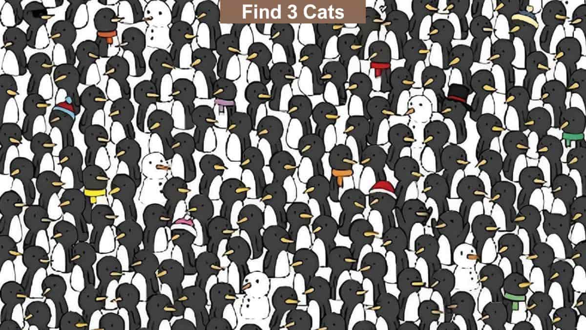 Optical Illusion to Test Your Vision: Find 3 Cats Among Penguins in 10 Seconds!
