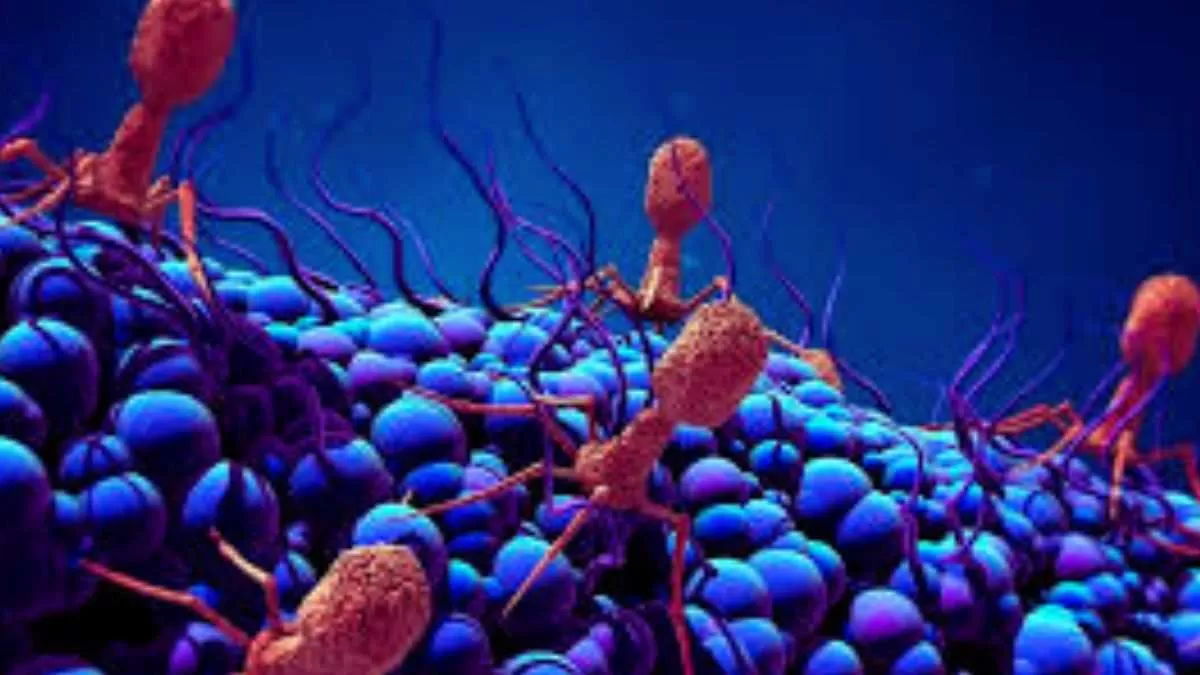 New viruses found in the forest of Massachusetts!