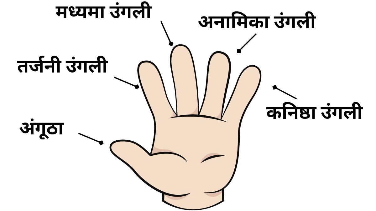 Vastu Tips: हाथ की इस उंगली में कभी ना पहने सोने की अंगूठी, वरना कंगाल होने  में नहीं लगेगी देर - Vikram Univ