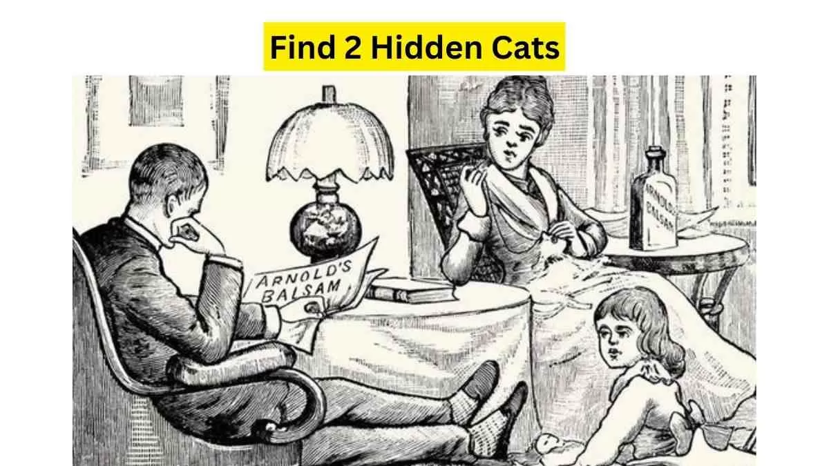 Do you see cats here?