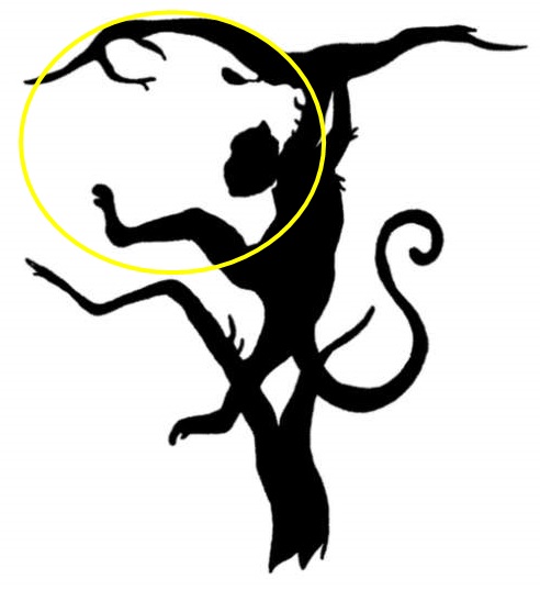 what you see first optical illusion lion