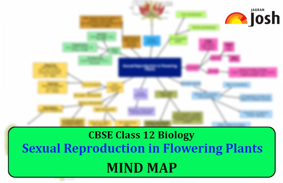 Cbse Sexual Reproduction In Flowering Plants Class 12 Mind Map For