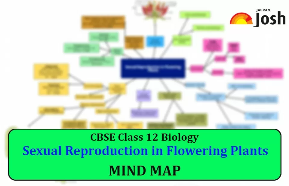 Cbse Sexual Reproduction In Flowering Plants Class 12 Mind Map For Chapter 1 Of Biology 9196