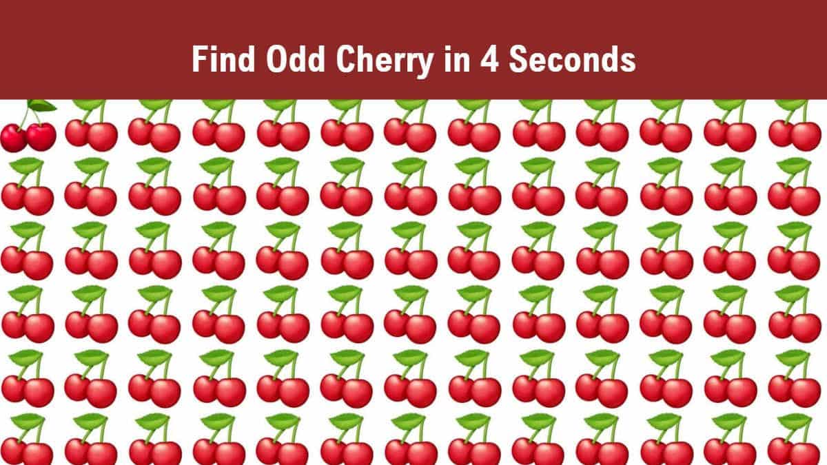 Seek and Find: Find the Odd Cherry in 4 Seconds