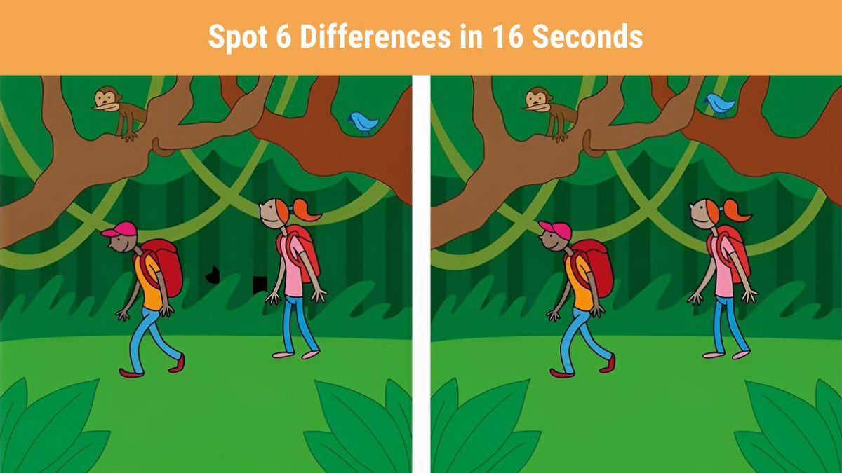 Are You Highly Observant? Then Spot 6 Differences in 16 Seconds!