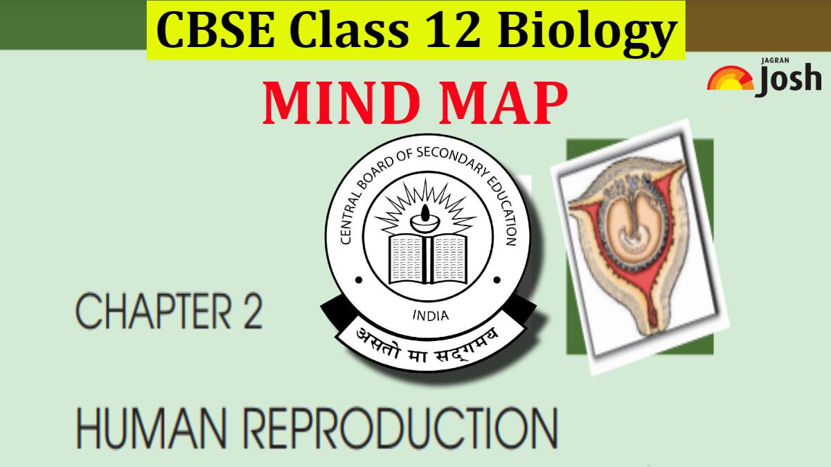 Cbse Human Reproduction Class Mind Map For Chapter Of Biology