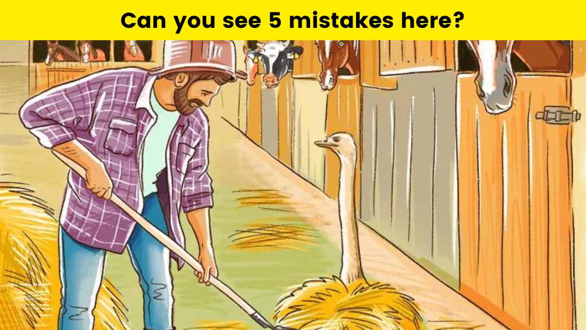 Prove you have a keen eye for detail by finding 5 mistakes at the farm in under 10 seconds!