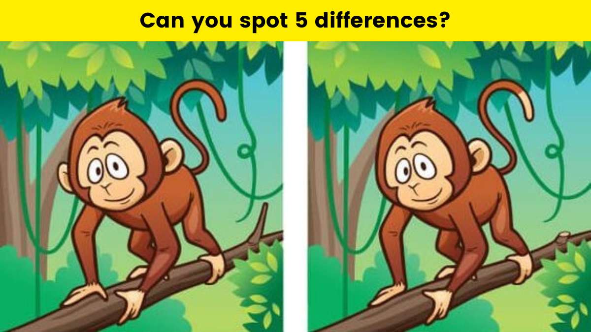 Spot 5 differences in the monkey picture within 19 seconds. Can you?