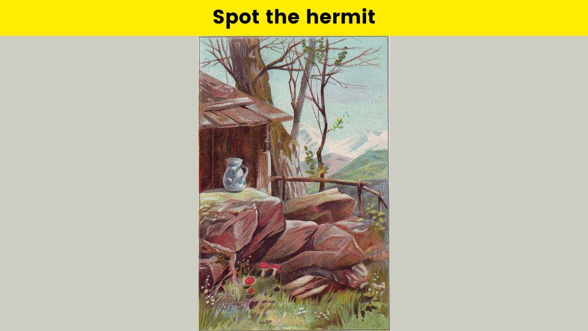 You have unrivaled observation skills if you can spot the hermit on the mountain in 5 seconds!