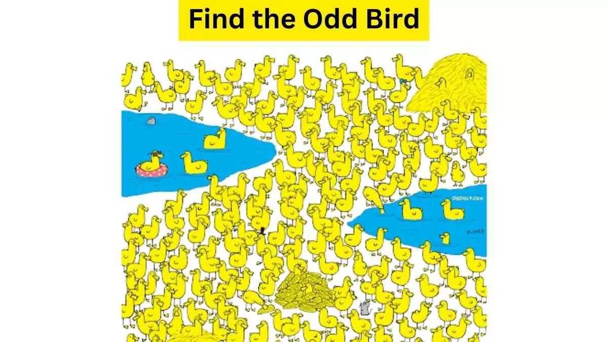 Do you see an intruder here?