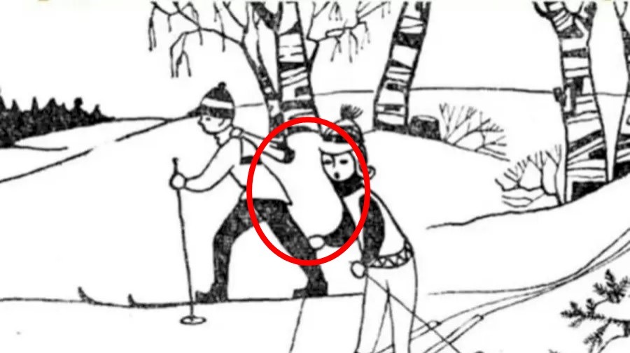 optical illusion answers