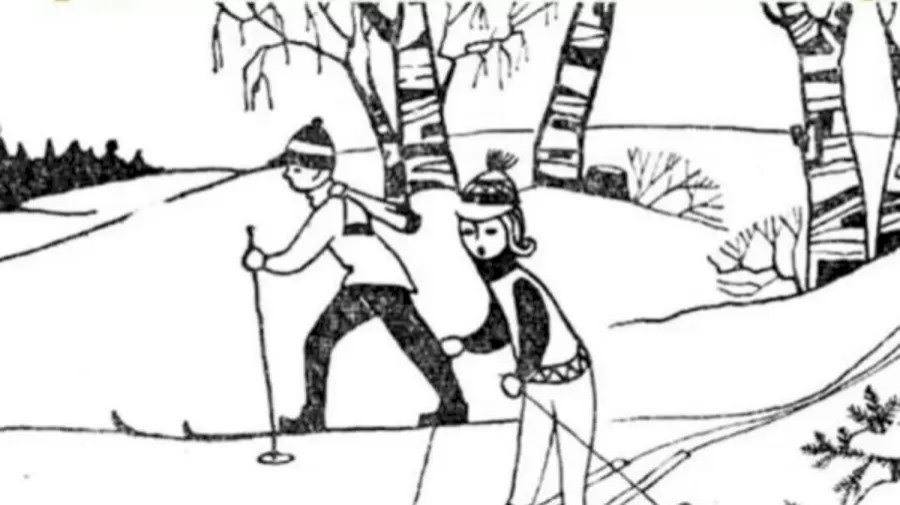 optical illusion find the rabbit