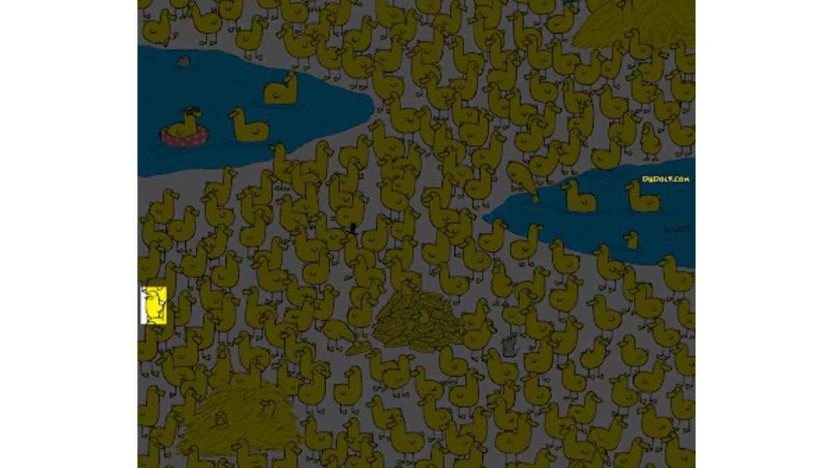 the odd chick is here