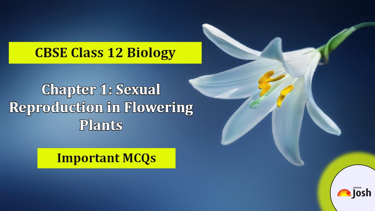 MCQs for CBSE Class 12 Biology Sexual Reproduction in Flowering Plants