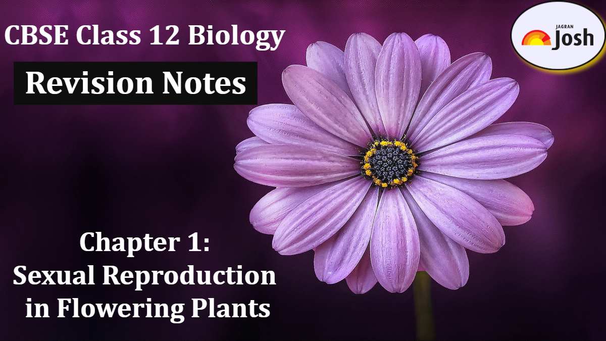 Cbse Class 12 Biology Sexual Reproduction In Flowering Plants Revision Notes For 2023 24 Based 