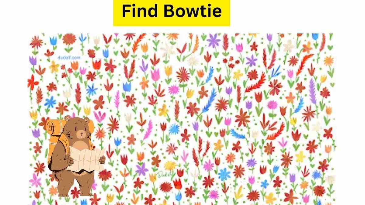  Mr Bear is Running Late! Sharpen Your Wits By Finding The Lost Bowtie In The Baffling Brain Teaser. 39 Seconds Left!