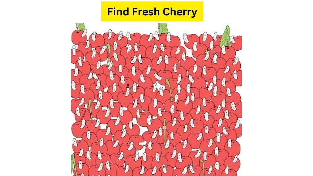 The Great Cherry Mystery: Can You Pick The Fresh Cherry In The Bunch Before It Ticks 30? Good Luck!
