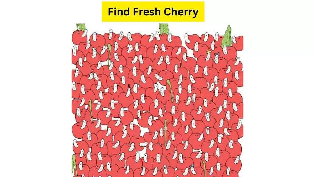 Fresh Cherries vs. the Rotten Cherries