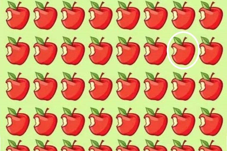 picture puzzles with answers