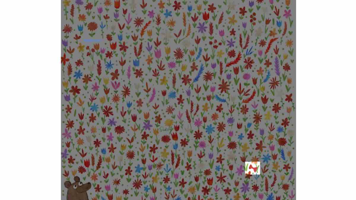 the lost bowtie is here