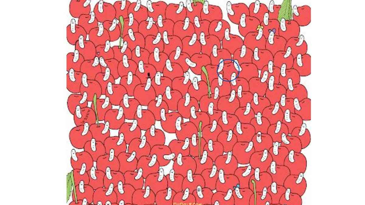 the fresh cherry is here