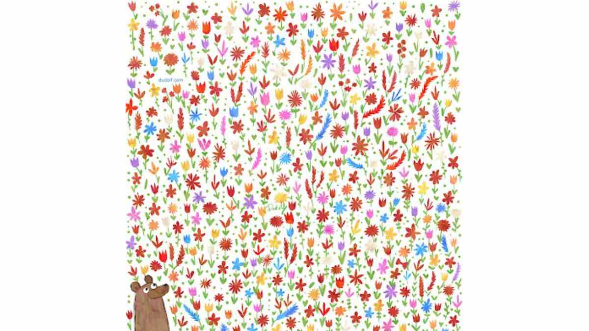 do you see a bowtie here?