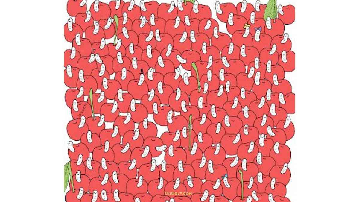 find the fresh cherry