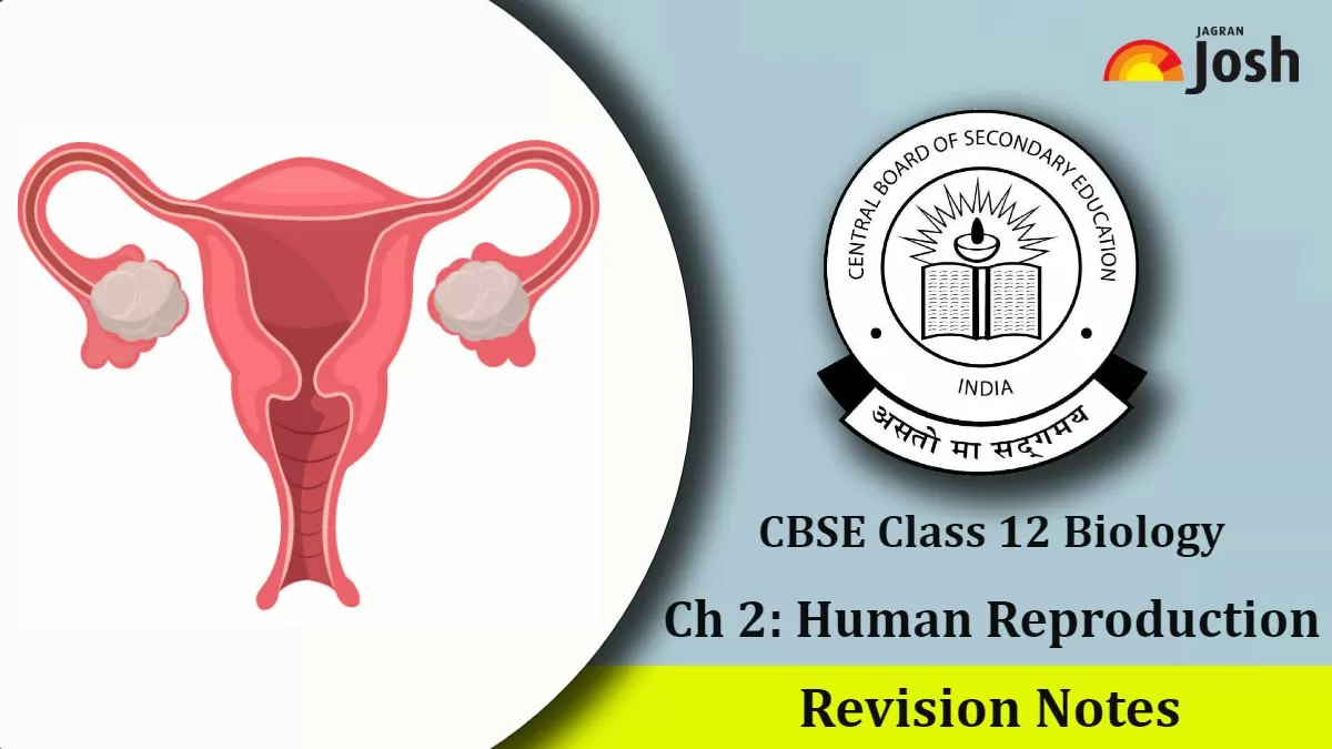 CBSE Class Biology Human Reproduction Revision Notes For Based On Revised Syllabus